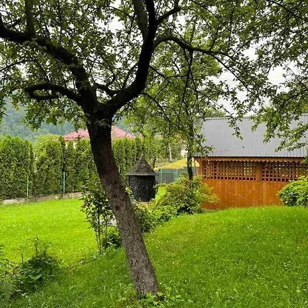 Guest house криниченька *