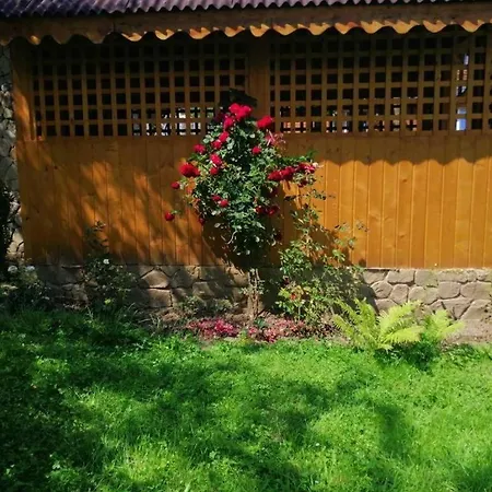 криниченька Guest house *